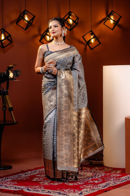 Coin Gray Banarasi Soft Silk Saree By WTW