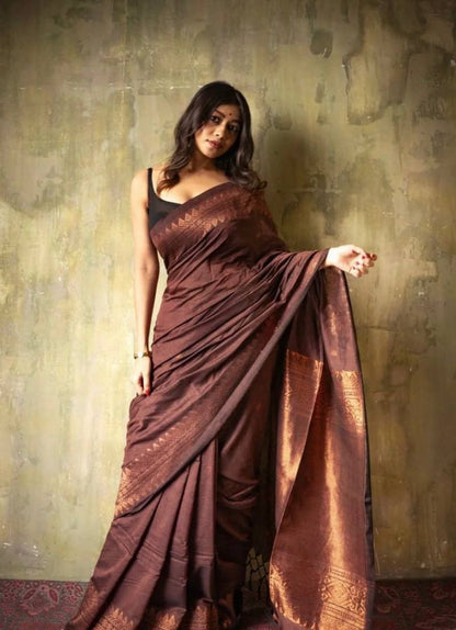 Blooming Brown Soft Silk Saree With Radiant Blouse Piece By WTW