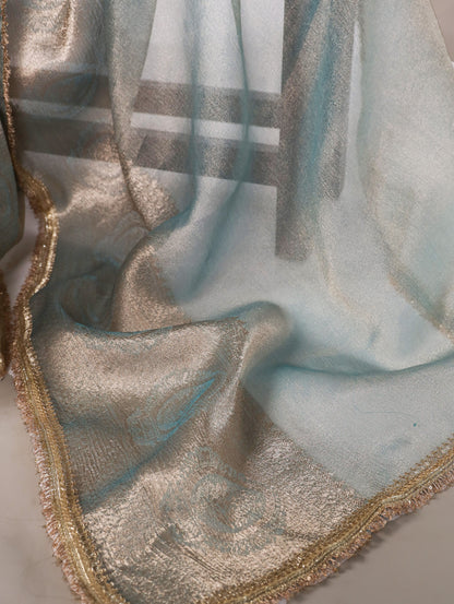 Light Blue Tissue Shimmer Women’s Saree By WTW