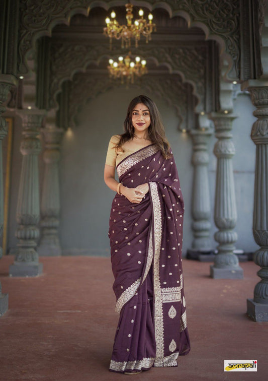 Premium Banarasi Soft Georgette Silk Saree By WTW