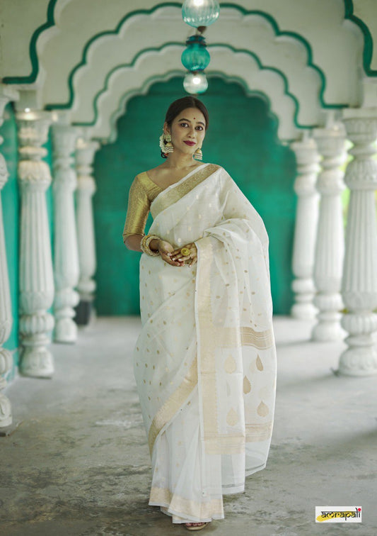 Ratatouille White Cotton Silk Saree By WTW
